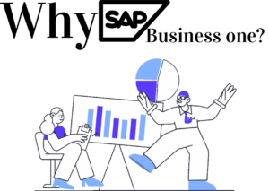 SAP Business one ERP - DenovaGloSoft